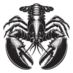 Seafood lobster vector illustration