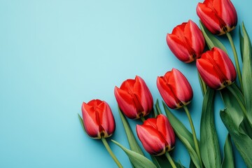 Obraz premium Red tulips arranged on blue background. Perfect for spring, love, or Mother's Day designs.