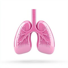 Fototapeta premium Pink 3D Rendered Lungs on White Background Medical Illustration