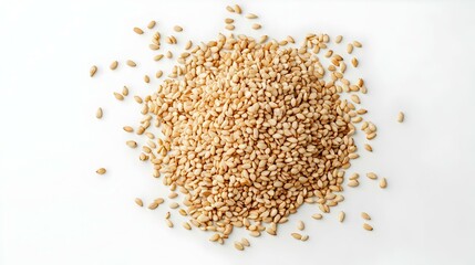 Organic Wheat Berries Isolated on White Background