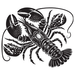 Seafood lobster vector illustration