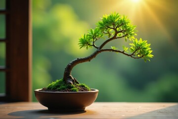 Close-up of a delicate bonsai tree in a glass vase against a blurred background, blurred, foliage