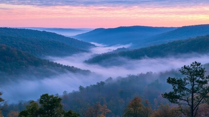 Serene Misty Valley at Dawn with Colorful Sky and Lush Forest