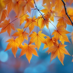 Vibrant orange leaves of a deciduous tree flutter gently in the breeze, set against a clear blue sky, creating a stunning contrast that captures the essence of autumn's beauty.