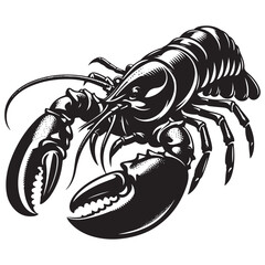 Seafood lobster vector illustration