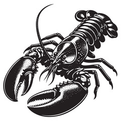 Seafood lobster vector illustration
