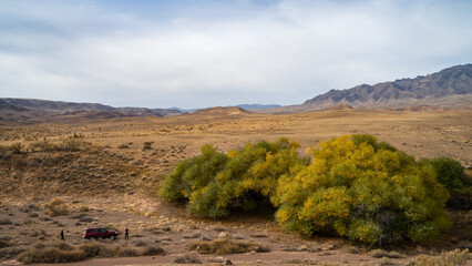 Oasis in the steppe among the mountains. autumn in the steppe