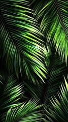 This wallpaper design brings the essence of the tropics into any space with its shadow play.