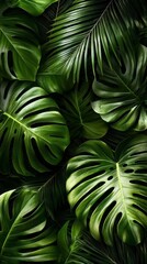 Vibrant green tropical leaves featuring monstera, palm, and fern designs.