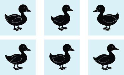 Obraz premium Duckling Silhouette vector