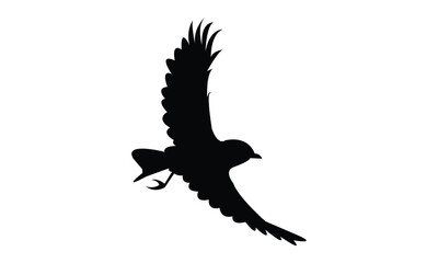 African grey flycatcher bird Silhouette Design  And Vector Illustration. 
