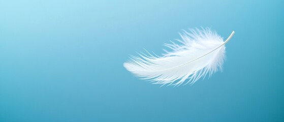 Delicate white feather gently floating against a soft blue background creating a serene and tranquil atmosphere for design purposes