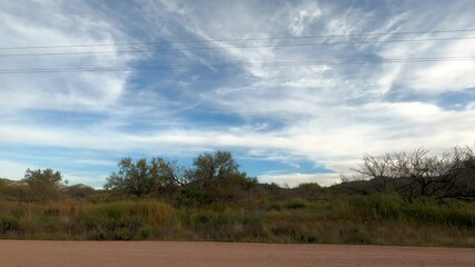 Arizona Driving 1665 Tempe Sunflower
