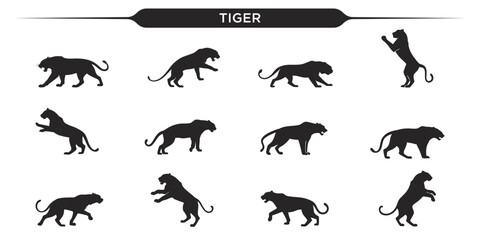 Silhouettes of tigers in various poses