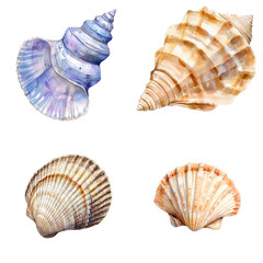 Fototapeta premium Exploring beautiful shells coastal beach nature photography marine environment artistic close-up ocean wonders