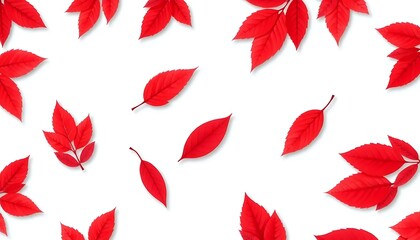 Vibrant Red Leaves White Background