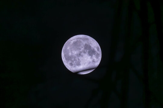 full moon in the night sky