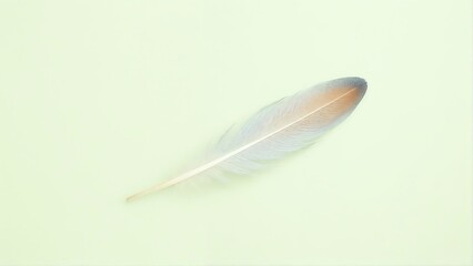 Generative A.I. creates a delicate feather with a soft gradient of white and orange, resting on a pastel green background, symbolizing lightness, freedom, and elegance in minimalistic beauty