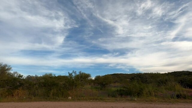 Arizona Driving 1671 Tempe Sunflower