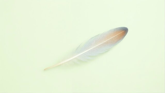 Generative A.I. creates a delicate feather with a soft gradient of white and orange, resting on a pastel green background, symbolizing lightness, freedom, and elegance in minimalistic beauty