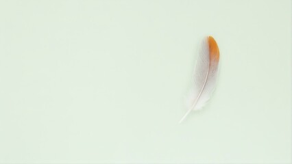 Generative A.I. creates a delicate feather with a soft gradient of white and orange, resting on a pastel green background, symbolizing lightness, freedom, and elegance in minimalistic beauty