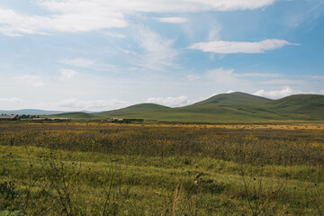 Obraz premium landscape with green field, mountains and clouds