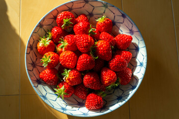 越後姫（いちご）