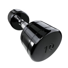 Round Chrome Dumbbell with number 10, weightlifting gym equipment wide angle view, isolated on white background. 3D illustration