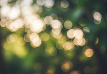 Obraz premium A natural setting with dark green foliage and softly focused warm light bokeh highlights suggests golden hour light