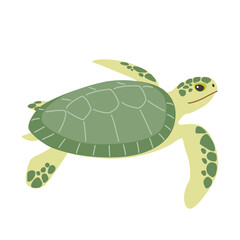 緑色のウミガメ