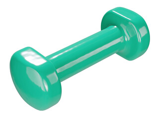 Blank Round vinyl rubber Dumbbell, weightlifting gym equipment side view, isolated on white background. 3D illustration