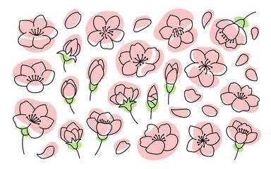 Cherry blossom flowers set. Outline illustration. Doodle style. Hand drawn cherry flowers Isolate on white. Sakura collection.