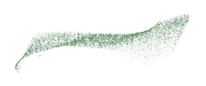 Separate green crayon brush strokes on transparent background.