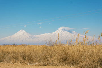 Fototapeta premium landscape with mount Ararat