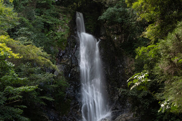 일본 후쿠오카 기타큐슈의 계곡에 폭포