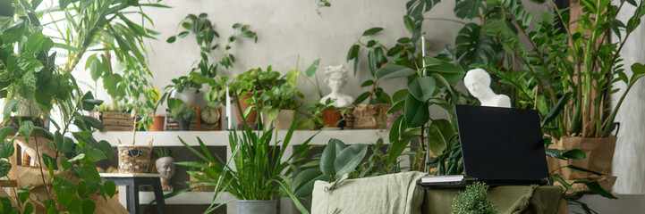 A fragment of the interior with a variety of indoor plants and plaster sculptures. Urban jungle concept. Biophilia design.