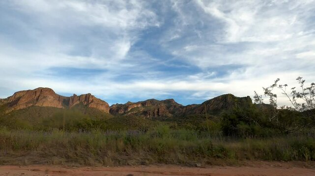 Arizona Driving 1678 Tempe Sunflower