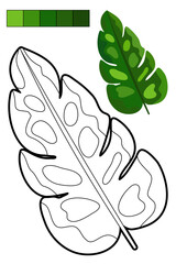 Coloring page whit tropical leaf for coloring book about exotic plants. Contour, colorful sample, color palette. For preschool and early elementary school children, to kid enjoy jungle vibes