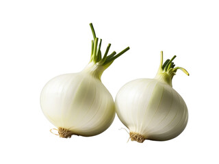 Fototapeta premium Two Fresh White Onions with Green Stems, Isolated on a Transparent Background, PNG, Cutout
