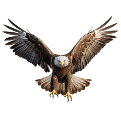 Obraz premium Eagle with wings spread, showcasing powerful presence and beauty, isolated on transparent background