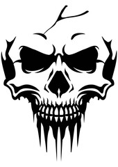 Skull