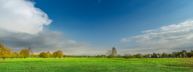 Large, open field with a blue sky and a few trees