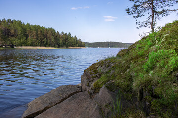 A body of water with a rocky shoreline and a tree in the background