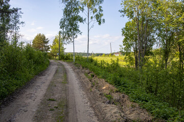 A dirt road with trees in the background