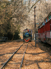 old train on the railway in the park