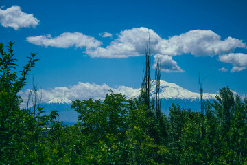 clouds over the forest and mountain