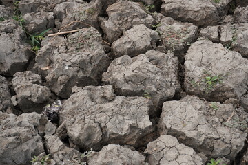 The soil degradation, a decline in soil quality due to improper use or management, often for...