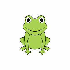 frog on white background