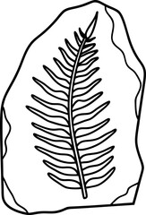 Fototapeta premium Fossilized fern on rock ancient plant imprint paleontology symbol, natural history artifact