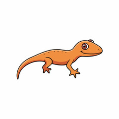 gecko on white background